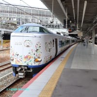 【京都発幕間旅情】JR西日本283系電車,アドベンチャーワールドパンダ帰国と師団祭前倒し