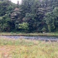 2024年10月5日　17釣り目　那珂川＆荒川