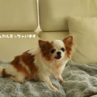 引き続き…困ってます😂
