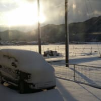 大雪だぁ