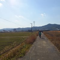 ❹幸田の新年の風物詩「こうた凧揚げまつり」と鷲田神明宮で新春詣　ゴール