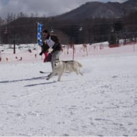 雪のイベント