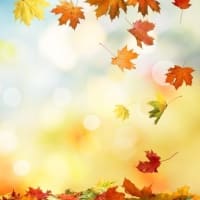《秋分・特別企画》秋の豊穣収穫祭！内なる無限の可能性と繋がり自分らしく輝く♪【遠隔グループヒーリング】 お申込み受付中！