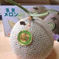 メロンの食べ頃は？