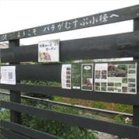 5/25　荏子田太陽公園