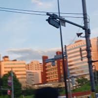 急に暑い日が始まって、なんかペースを乱された日。