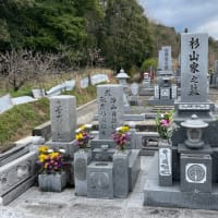 父親の命日‼️ 13回忌。