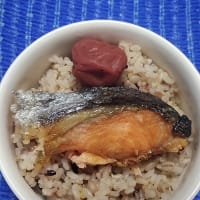 【04/16朝食】チリ産甘口銀鮭荒＆梅干し、しゃきぃ～ん度５０％の朝なんだね：P