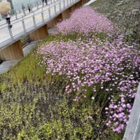 ズカズカ土足に注意！