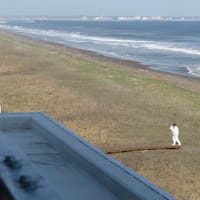 少しだけ 待ってみようか