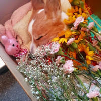 15才7か月15日・・・✨