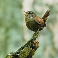 記事を更新しました！5月30日（金）