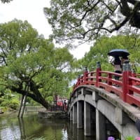 九州旅行①フェリー→太宰府→道の駅みやま