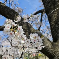 今日いち-2025年4月18日