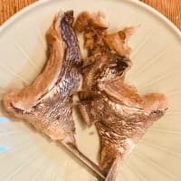 鯛の鯛は、魚の形をした、魚の骨である。 The Tai no Tai is a fish-shaped bone of a fish. 鯛中鯛 解説 説明図 エラの後ろの、ヒレの付け根の部分にある小骨
