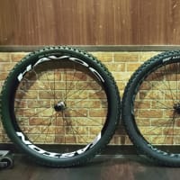 vol.6766   シン妄想MTB日記～異端編～②