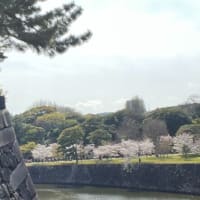自分らしく楽しく生きる