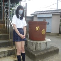 Ｎｅｗ茶トラ