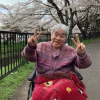 お花見ドライブ