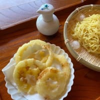 5月11日　探し物