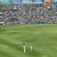 甲子園タイガースvs広島