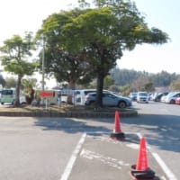 千葉　袖ヶ浦公園