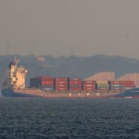 東京湾の風景「日中コンテナ船は元気です」