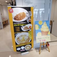 |M3419|宮崎空港ビル３F『萩の茶屋』で早めの夕食。レモンチューハイ＆鶏天おろし＆キムチチャーシューで開始し、冷やし平兵衛酢（へべす）そばが抜群にうまかった！