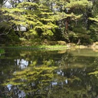 平安神宮　春