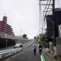 東京エクストリームウォーク・17日の日中ウォーク