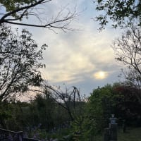 独りで暮らすということ