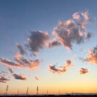 田んぼ・昨日の天気