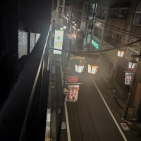 外は涼しい風が吹いていた