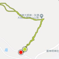 今日はベンチマーク