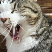 ちょい寒いかも。🙄