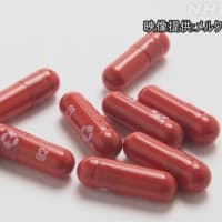 【速報】コロナ飲み薬「モルヌピラビル」使用を了承　厚労省　重症化防ぐ初の飲み薬