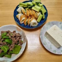 質素な晩酌！