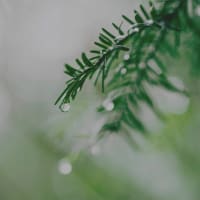 わたしの声をきくワーク