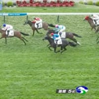 ルージュアマリア新馬戦