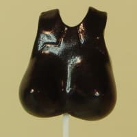 　胸 背 物 語 （黒）