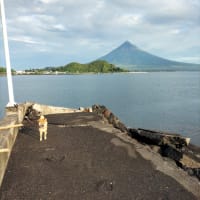 Sep,21,2022 Morning walk with  Take  and Mt Mayon