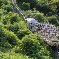 新宮あじさいの里