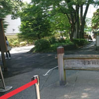 ＃162 -’25.　小石川後楽園で花菖蒲を楽しむ（小石川後楽園遍）