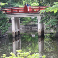 首都圏に点在する約280の氷川神社の本社で2400年の歴史を持つ屈指の古社！