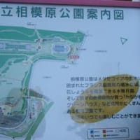 one 下見