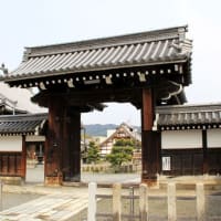 京都　要法寺で見たカルガモの夫婦