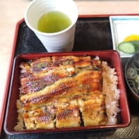 暑い、暑い、土用の丑の日まで待てません