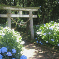 磯山神社