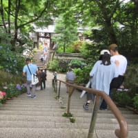 関西花の寺２５ゕ寺　第5日目　まずは　第1番札所　観音寺