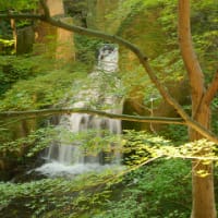 徳川園の滝